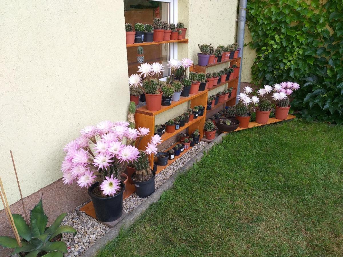 Ferienwohnung Bärbel, Fewo Bärbel Apartment *